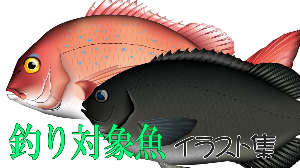 釣り対象魚イラスト