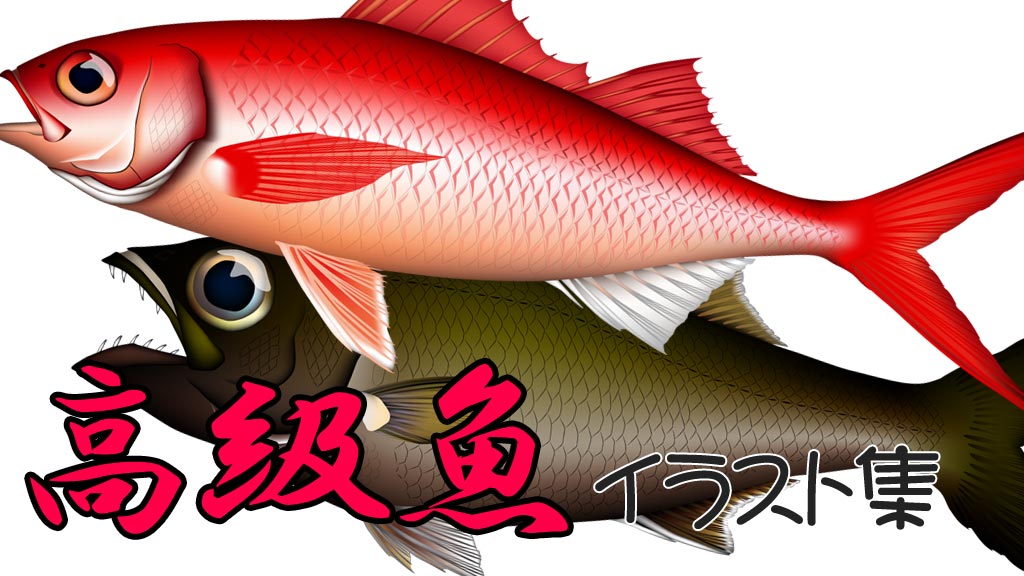 高級魚イラスト