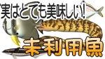未利用魚　イラスト一覧