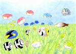 かわいい魚イラスト