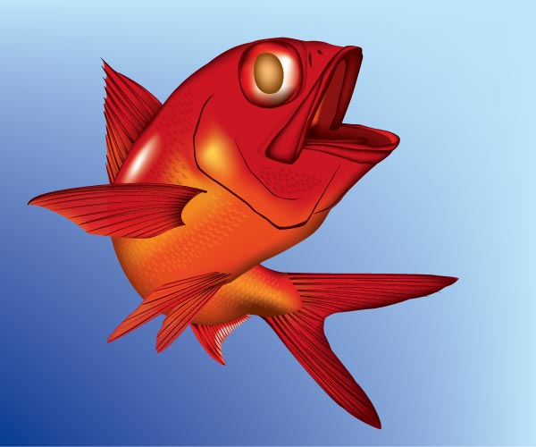 キンメダイ・イラスト