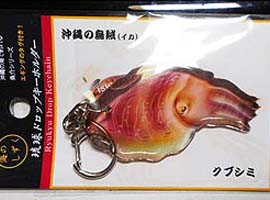 コウイカ・イラスト事例
