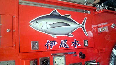 ビンナガ